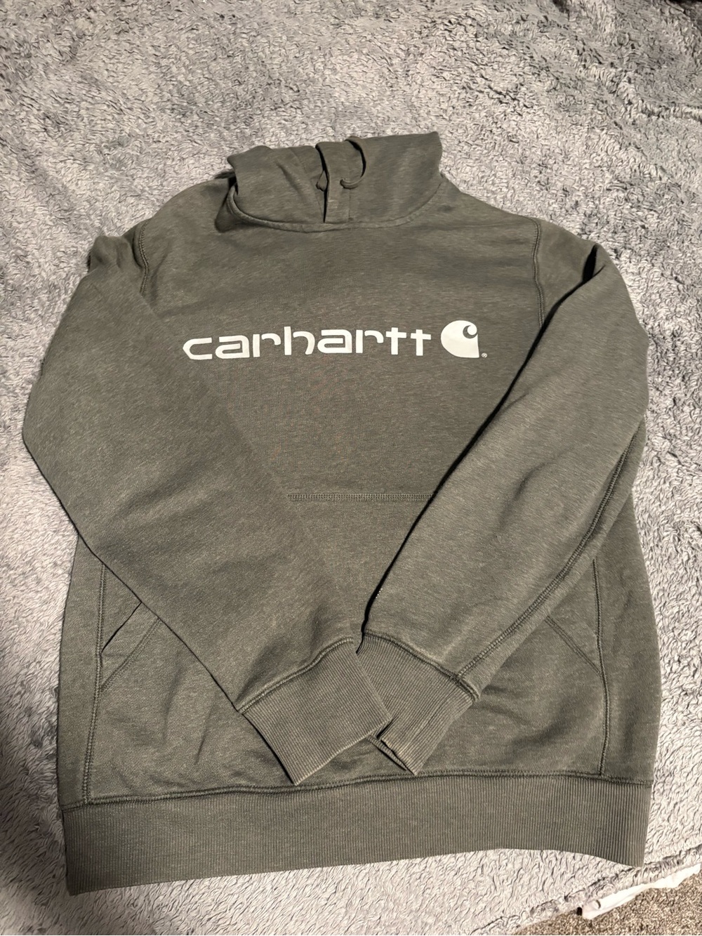 Rare Carhart Force Hoodie great condition
